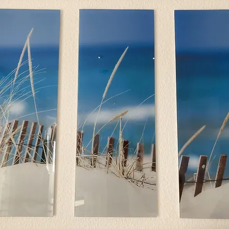 Am-kampland-20-luv * Dahme (Schleswig-Holstein)